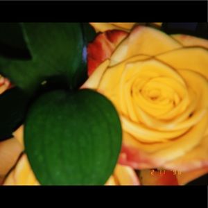 Meet your Posher, Chloe